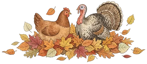 An illustration of a chicken and a turkey in a pile of leaves