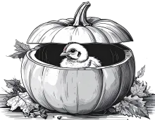 Chick hiding inside of a pumpkin