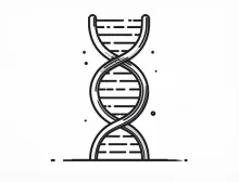 A double helix representing DNA