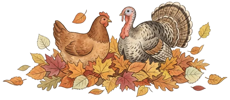 An illustration of a chicken and a turkey in a pile of leaves